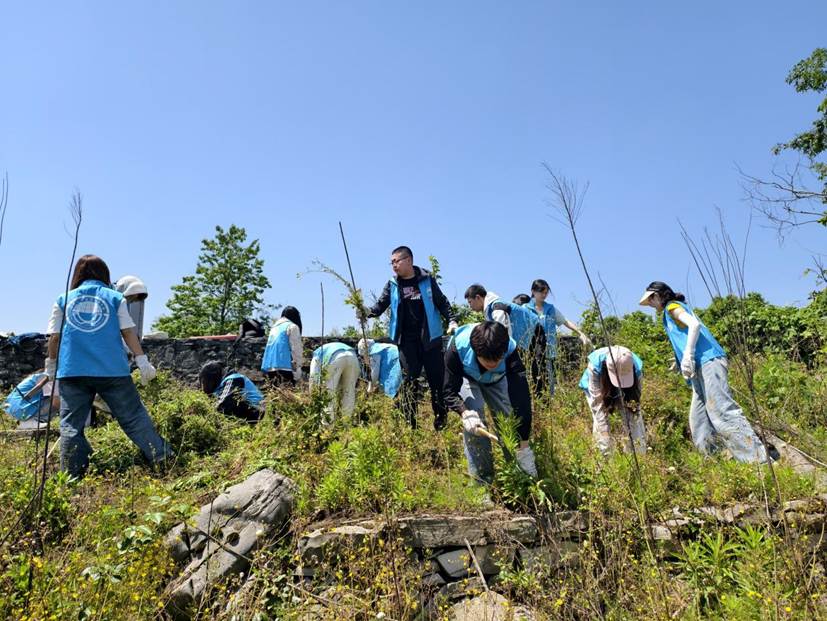 太阳集团tcy8722员工在石漠化严重的撂荒地开展劳动2